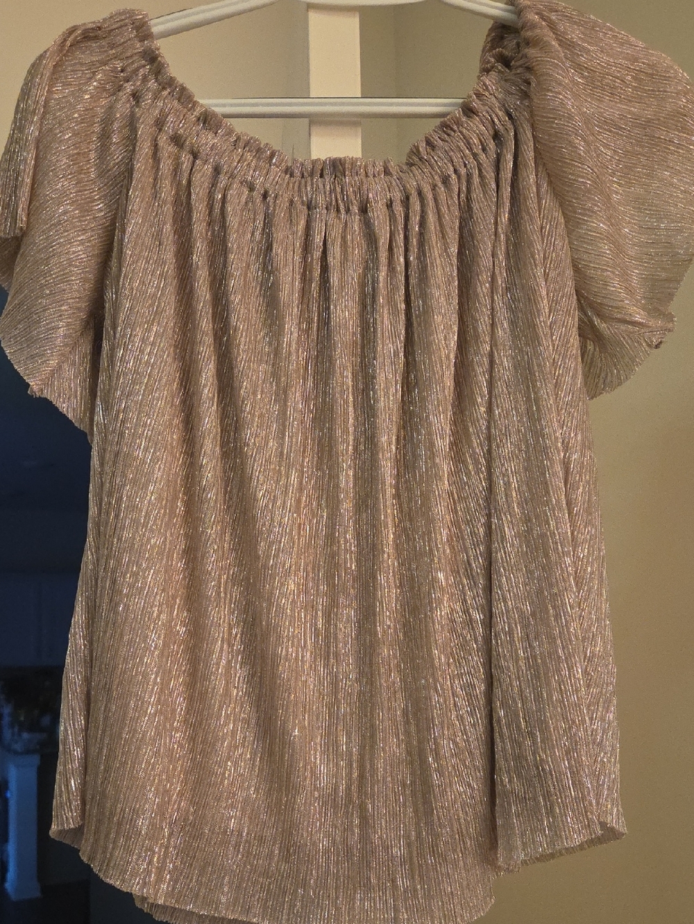 Express Metallic Taupe Off-Shoulder Blouse